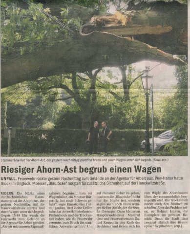 25. Juli 2006 - ﻿Riesiger Ahorn - Ast begrub Wagen